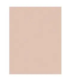 7000000286 261X 5 MIC 8-1/2X11 200/CS